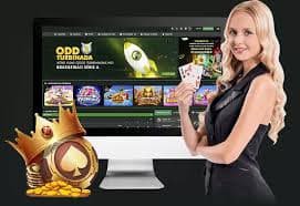 moostbet Mobile App